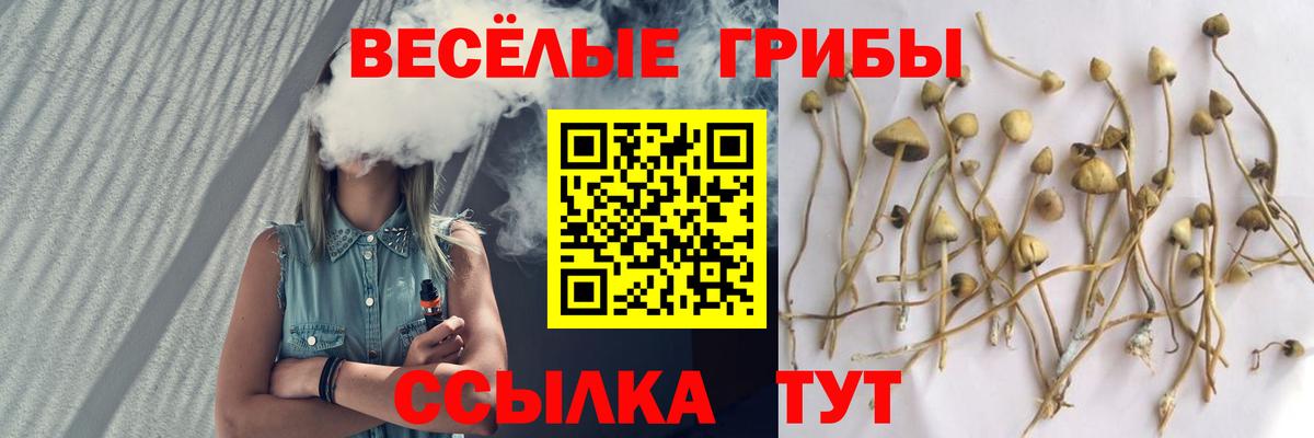Псилоцибиновые грибы прущие грибы  Вход с VPN  Шадринск 